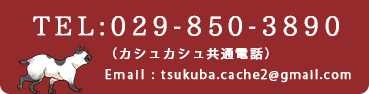 TEL:029-850-3890 （カシュカシュ共通電話）