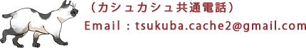 （カシュカシュ共通電話）