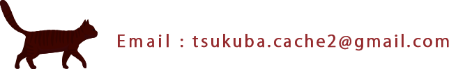 tsukuba.cache2@gmail.com