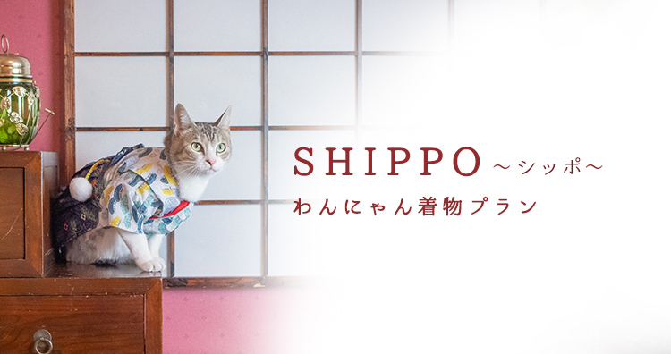 SHIPPO（シッポ）わんにゃん着物プラン
