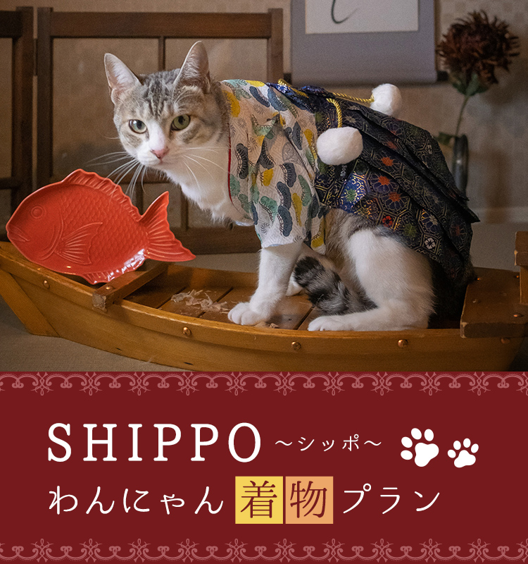 SHIPPO（シッポ）わんにゃん着物プラン
