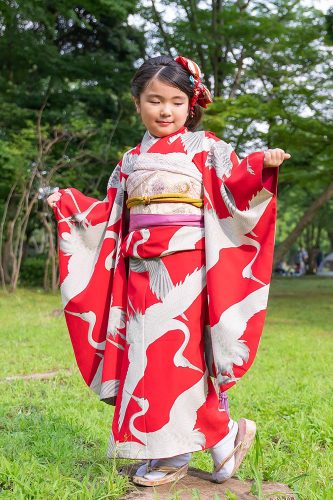 7歳 赤鶴 | レトロ七五三撮影のハイカラ アンティーク着物と大正ロマン