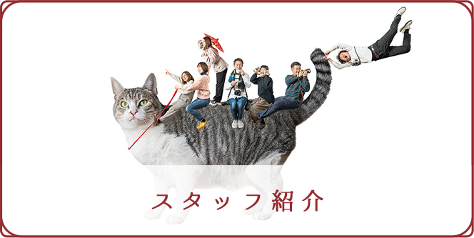 スタッフ紹介